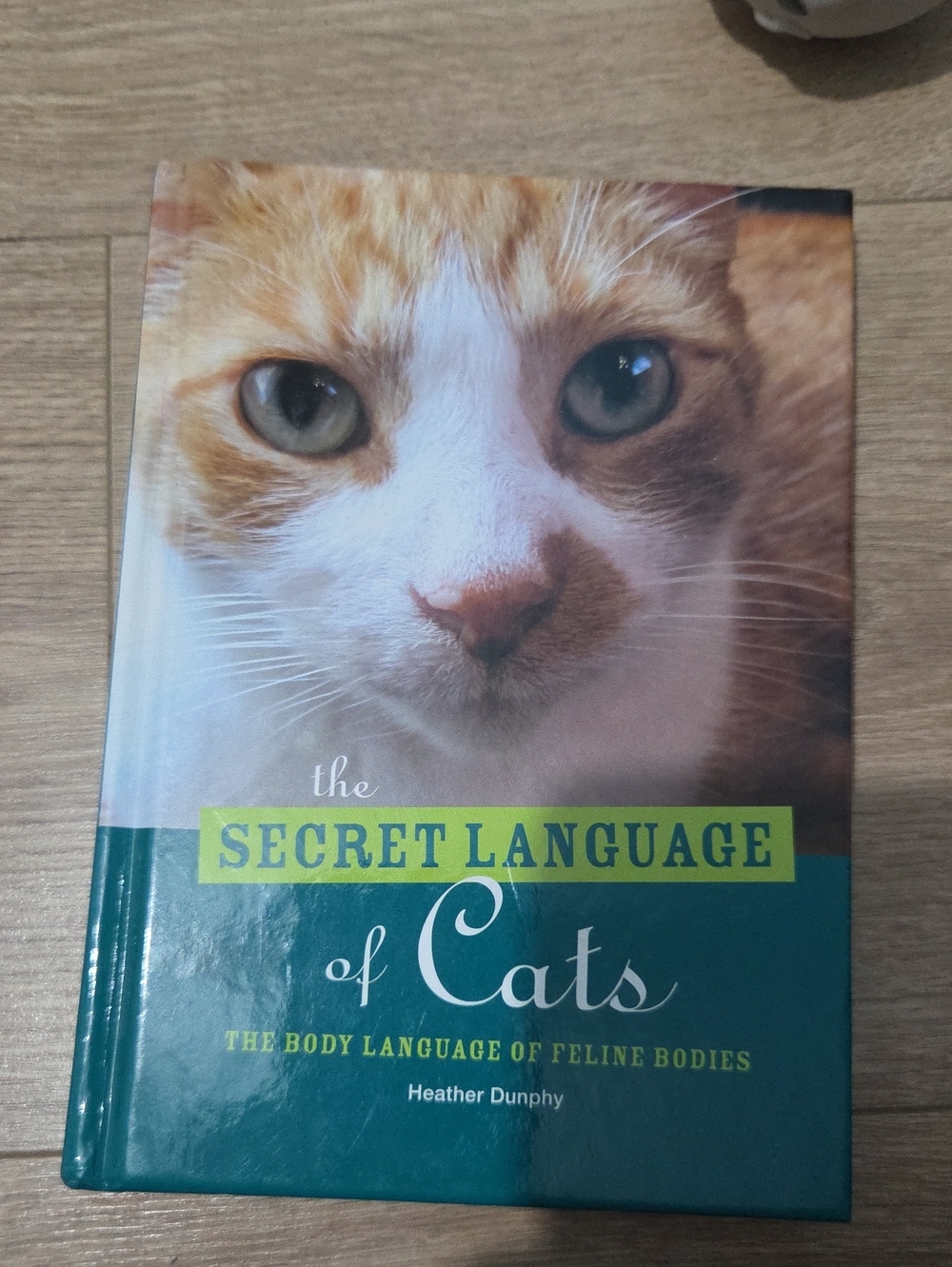 The Secret Language Of Cats Book